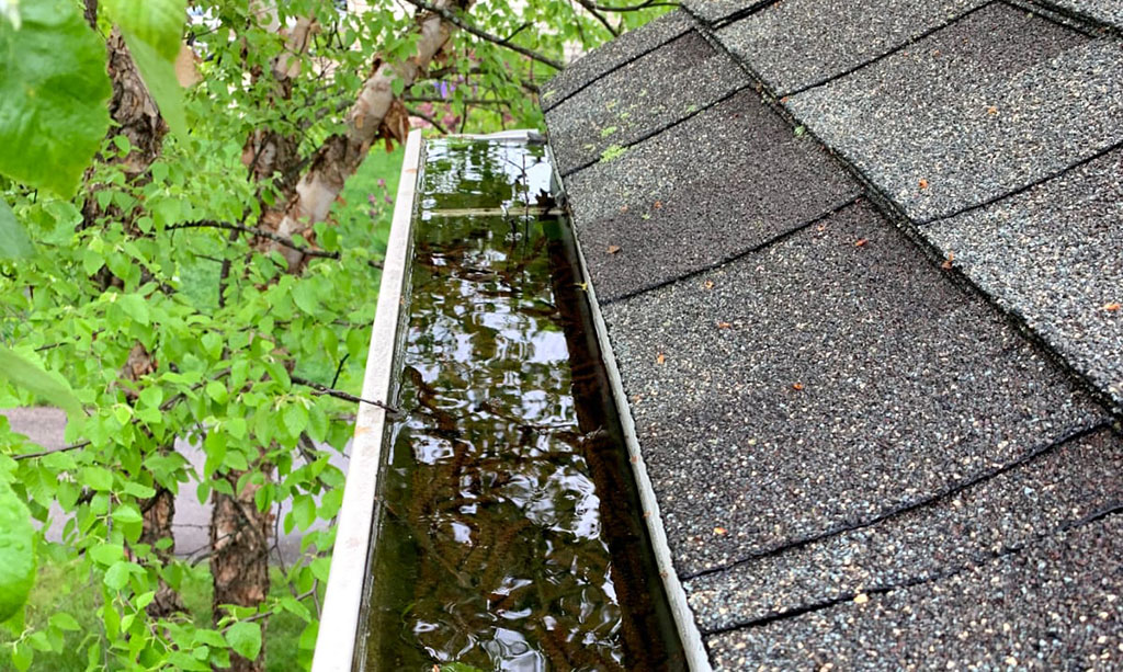 standing water in clogged gutter