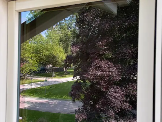 Same window in Winfield, IL after window cleaning